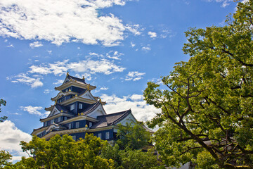 the castle of the most famous landmark of the world
