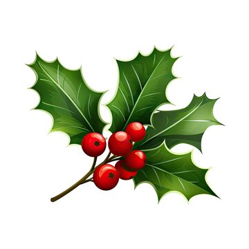 Holly Berries Leaves, Holy Berry Leaf, European Ilex Branch, Christmas Decoration