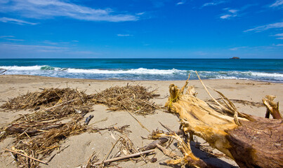 tropical summer shore in the indian ocean