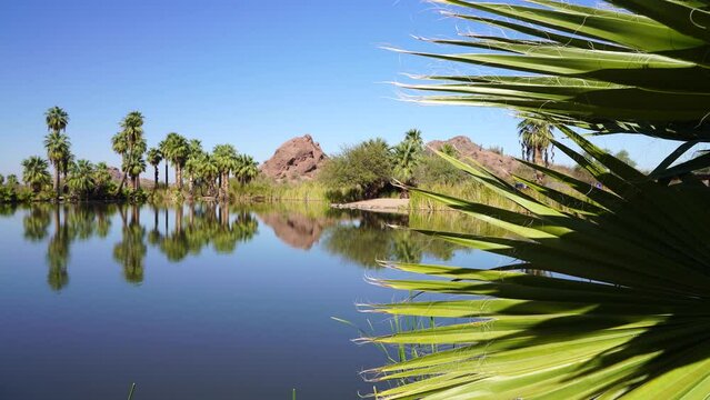 Papago Park in Phoenix Arizona, America, USA. The park features uniques mountains, palm trees and several pond for wildlife and fishing.