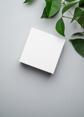 Modern empty product display. Minimal white box with green leaves on a gray background. Showcase concept with stage for product presentation, sale or cosmetics advertising banner.