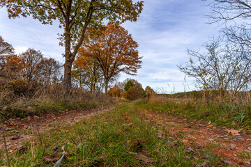 Obraz premium Rural road on an autumn day.
