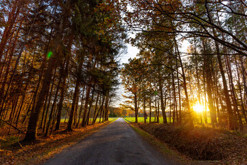 Obraz premium Rural road through forest on an autumn day.