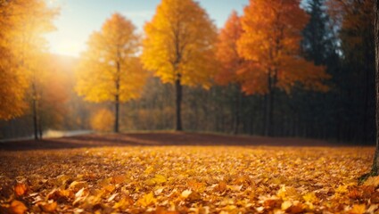 Beautiful autumn scenery with fallen yellow and orange leaves, with a park trees in the background. Minimal abstract seasons concept. Copy space.