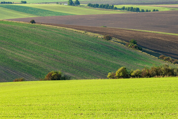 Moravian Magic: Fields Awash in Sunset Hues