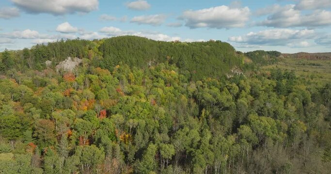 wooded hill