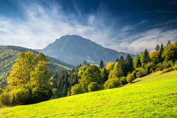 Lush green field with mountain in background