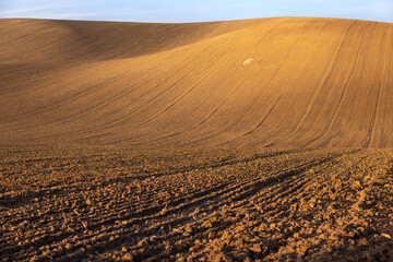 Fototapeta premium Moravian Fields: A Golden Tapestry Unveiled