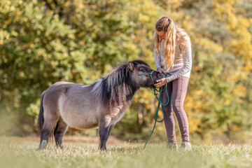 Natural Horsemanship concept: Cute portrait of a young woman and her pony working and interacting...