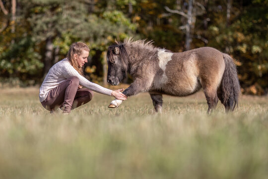 Natural Horsemanship concept: Cute portrait of a young woman and her pony working and interacting together