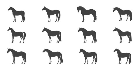 Set of silhouettes of horses of riding breeds of various conformation