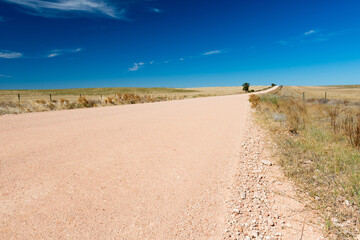 Fototapeta na wymiar Dirt road in the country stretches into the distance under a blue sky in South Australia