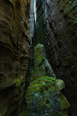 Lush thick green moss covering solid rock, Adrspach rocks, Czech Republic