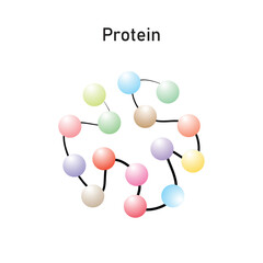 Protein Molecule Scientific Design. Vector Illustration.
