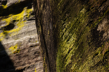 Green moss covering solid rock formations, Adrspach rocks, Czech Republic