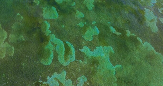 Aerial view of ocean surface and underwater coral reef near Miami, Florida