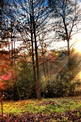 Early Autumn Morning, Eastern Ohio