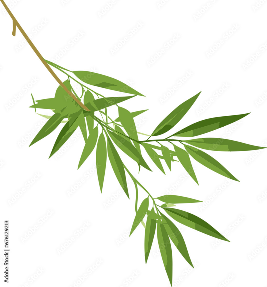 Canvas Prints bamboo leaves illustration