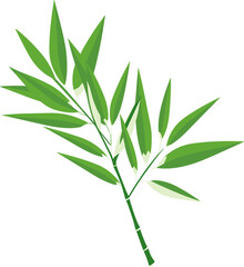 Fototapeta na wymiar bamboo leaves illustration