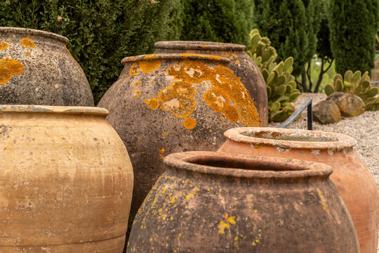 Group of large ancient terracotta clay jars covered with yellow lichen in a traditional Mediterranean garden.