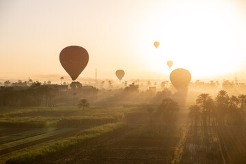 hot air balloons floating over dusty desert villages in luxor egypt during sunrise - obrazy, fototapety, plakaty