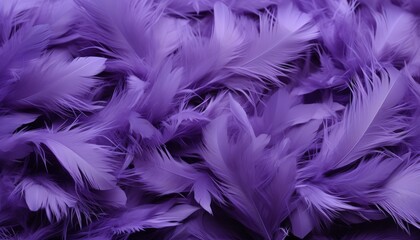 Abstract purple feather texture background with detailed digital art of large bird feathers