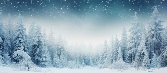 In the winter landscape the white snow covered the forest of tall trees creating a beautiful...