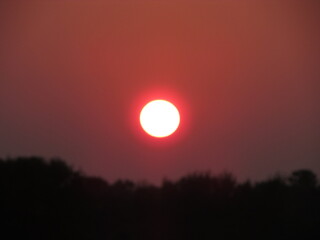 Fototapeta premium Sunset above the trees