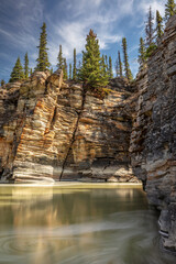 The Athabasca River's tranquil banks in Jasper National Park