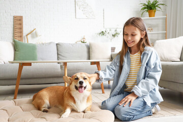 Little girl with cute Corgi dog at home