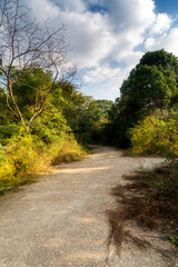 The road of City Park in China