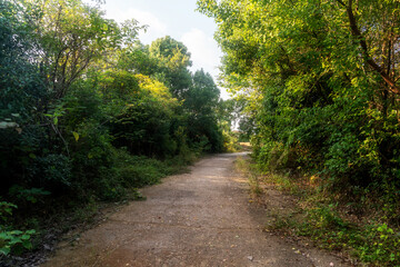 The road of City Park in China