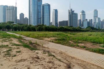 Obraz premium flower field in park at city center and modern city