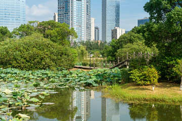 spring park and modern city