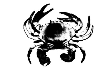 silhouette of crab isolated on white background, invertebrate animal