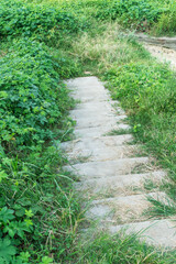 Obraz premium The road of City Park in China