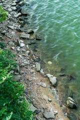 close up of the riverbank