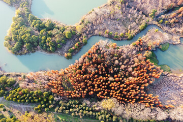 Aerial view, forests and lakes