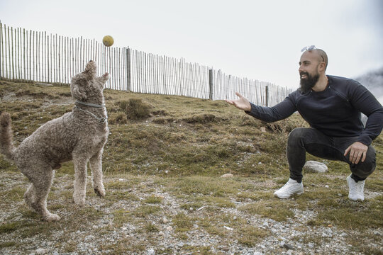 Hombre lanzando una pelota a su perro en un entorno natural. Escena que refleja amistad, diversi&oacute;n y conexi&oacute;n entre humano y animal.
