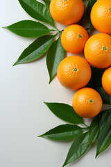 Portrait of orange. Ideal for your designs, banners or advertising graphics.