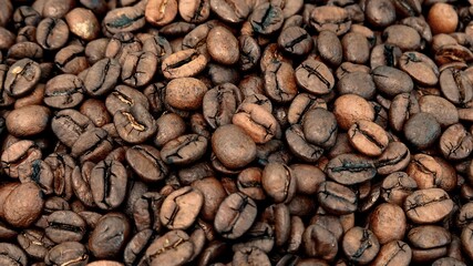 Fresh group of seed coffee beans for background.