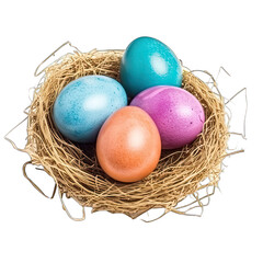 Hand colored Easter eggs inside a nest isolated on white background