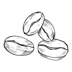 coffee bean handdrawn illustration