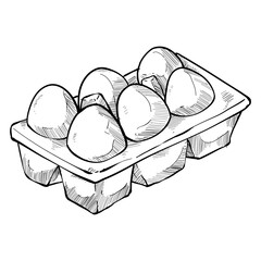 egg handdrawn illustration