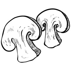 mushroom handdrawn illustration