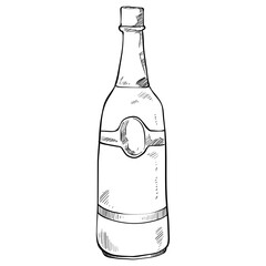 wine bottle handdrawn illustration
