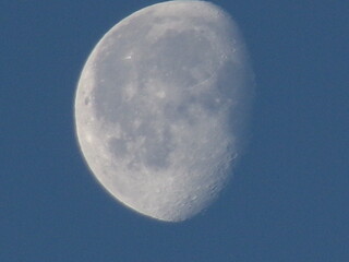 KODAK Digital Still Camera