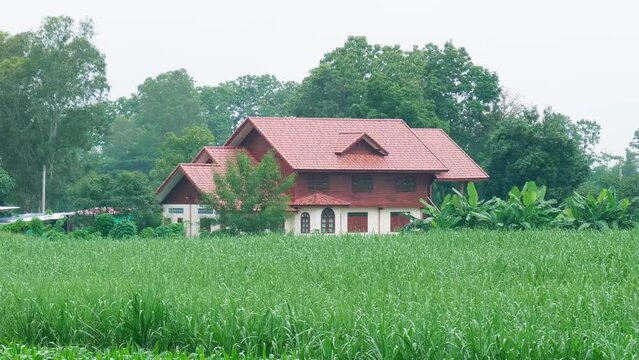 Zooming out of a house in a rural area to slowly reveal the rest of the farm with the cornfield, located in a village in a province in Thailand.
