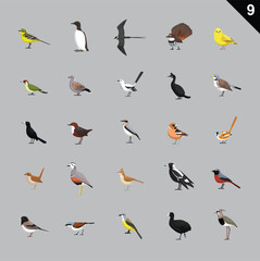 Various Birds Cartoon Vector Illustration 9