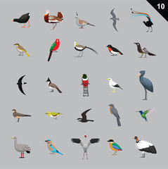Various Birds Cartoon Vector Illustration 10